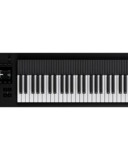 Piano Electrónico Expressive E SS-1985