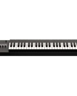 Piano Electrónico Expressive E SS-1985